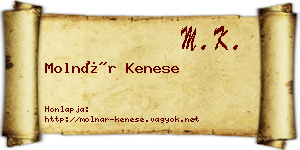 Molnár Kenese névjegykártya